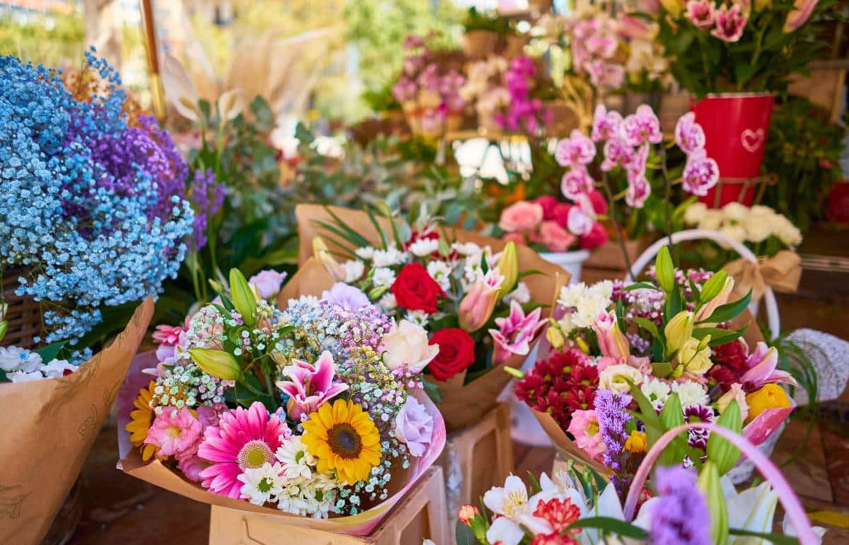 Imagem ilustrativa de loja de flores